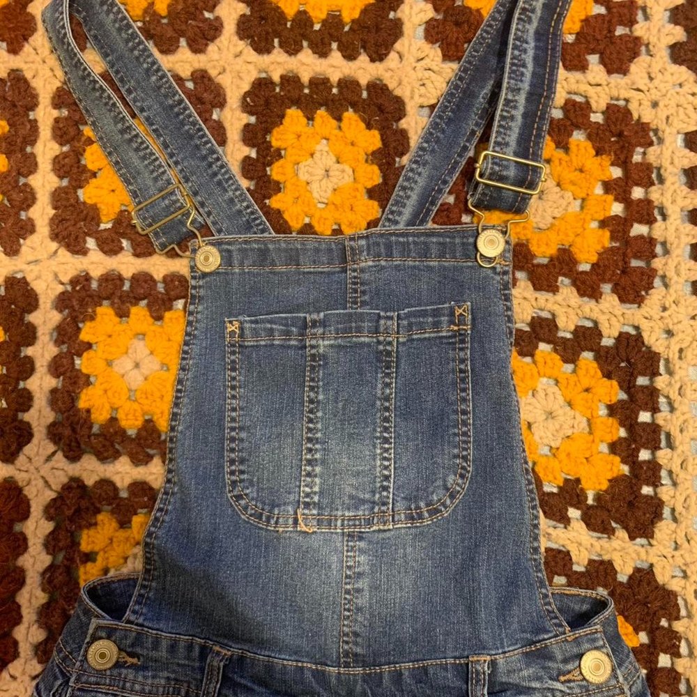 Blue full length overalls